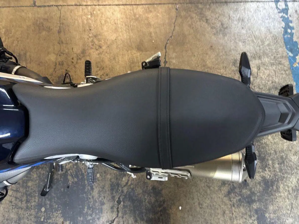 Bmw R nineT Urban GS (2021 - 24) (9)