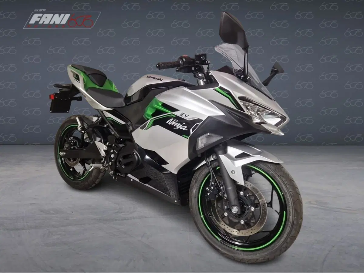 Kawasaki Ninja e-1 (2024 - 26) (2)