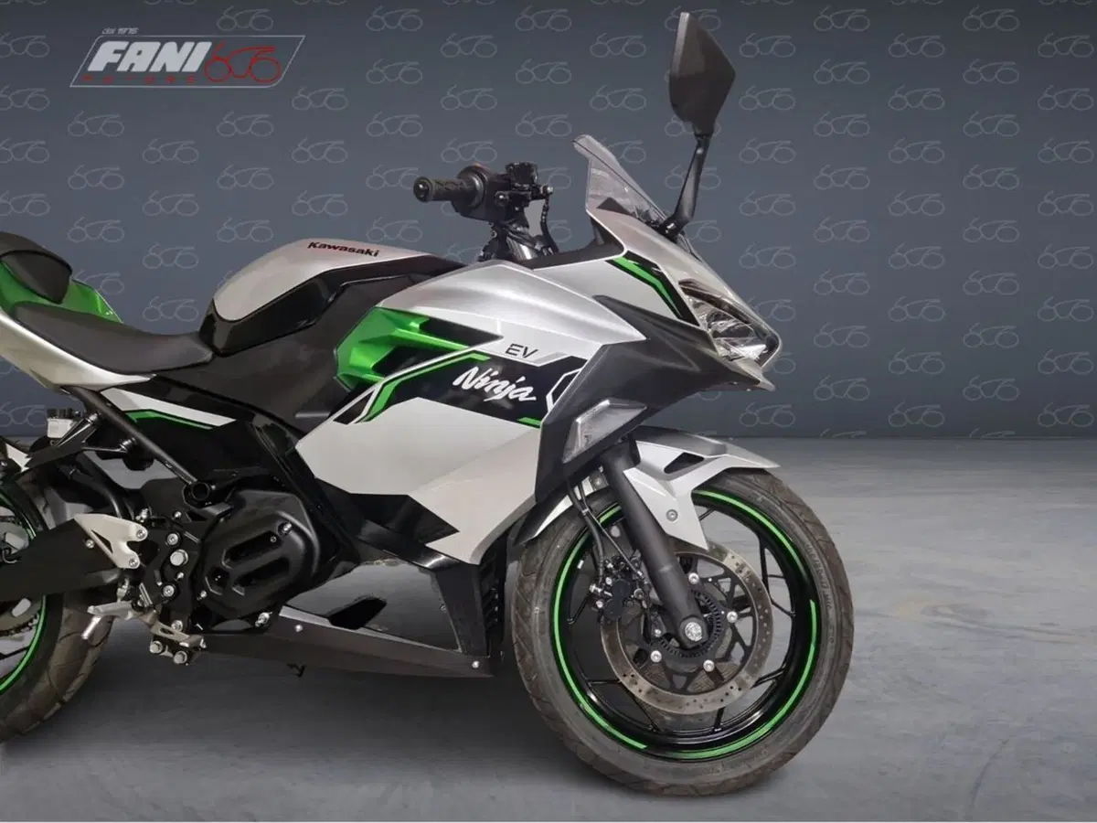 Kawasaki Ninja e-1 (2024 - 26) (5)