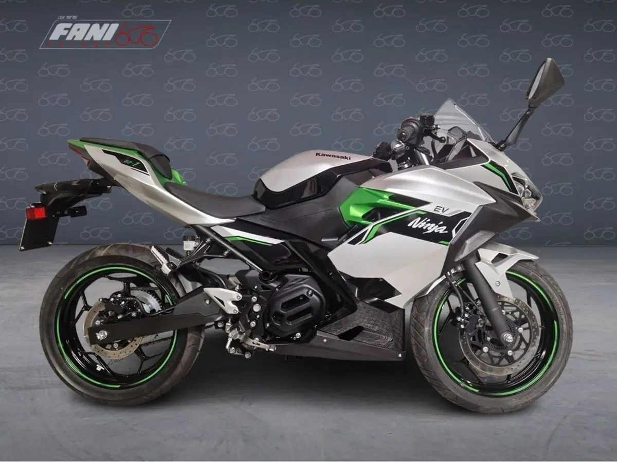 Kawasaki Ninja e-1 (2024 - 26)