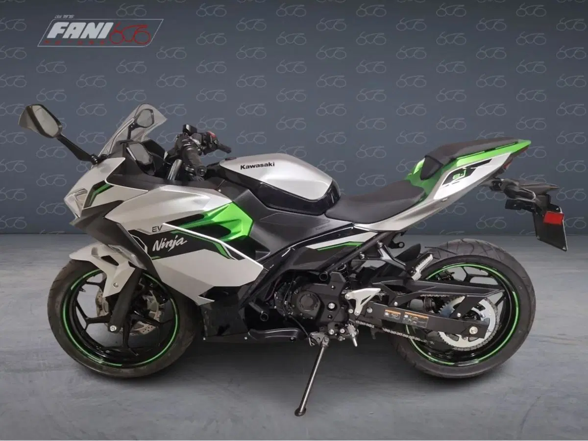 Kawasaki Ninja e-1 (2024 - 26) (3)