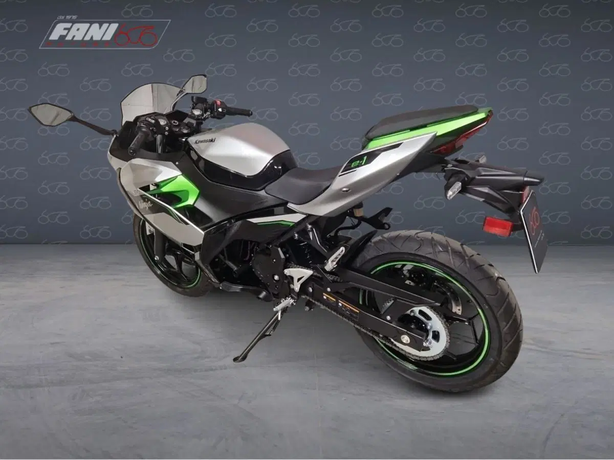 Kawasaki Ninja e-1 (2024 - 26) (4)