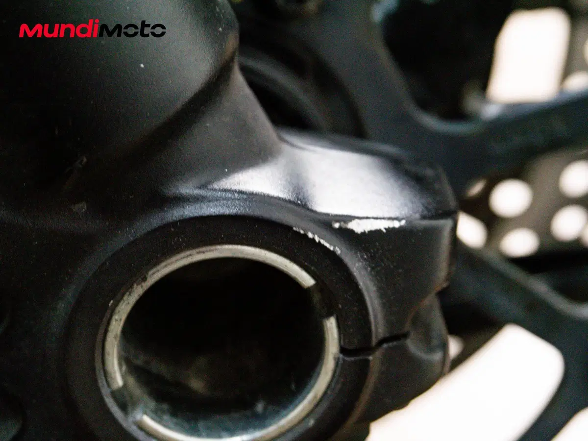 Ducati Monster 797 (2017 - 18) (16)