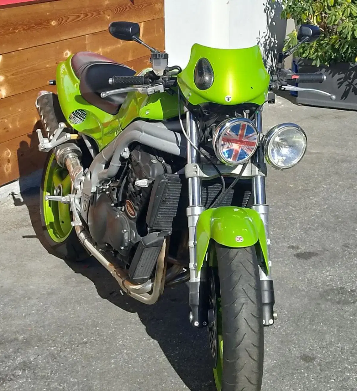 Triumph Speed Triple 955 (1998 - 01) (5)