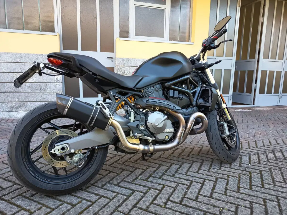 Ducati Monster 821 (2018 - 20) (3)