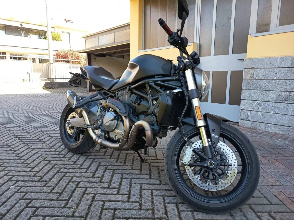 Ducati Monster 821 (2018 - 20) (4)