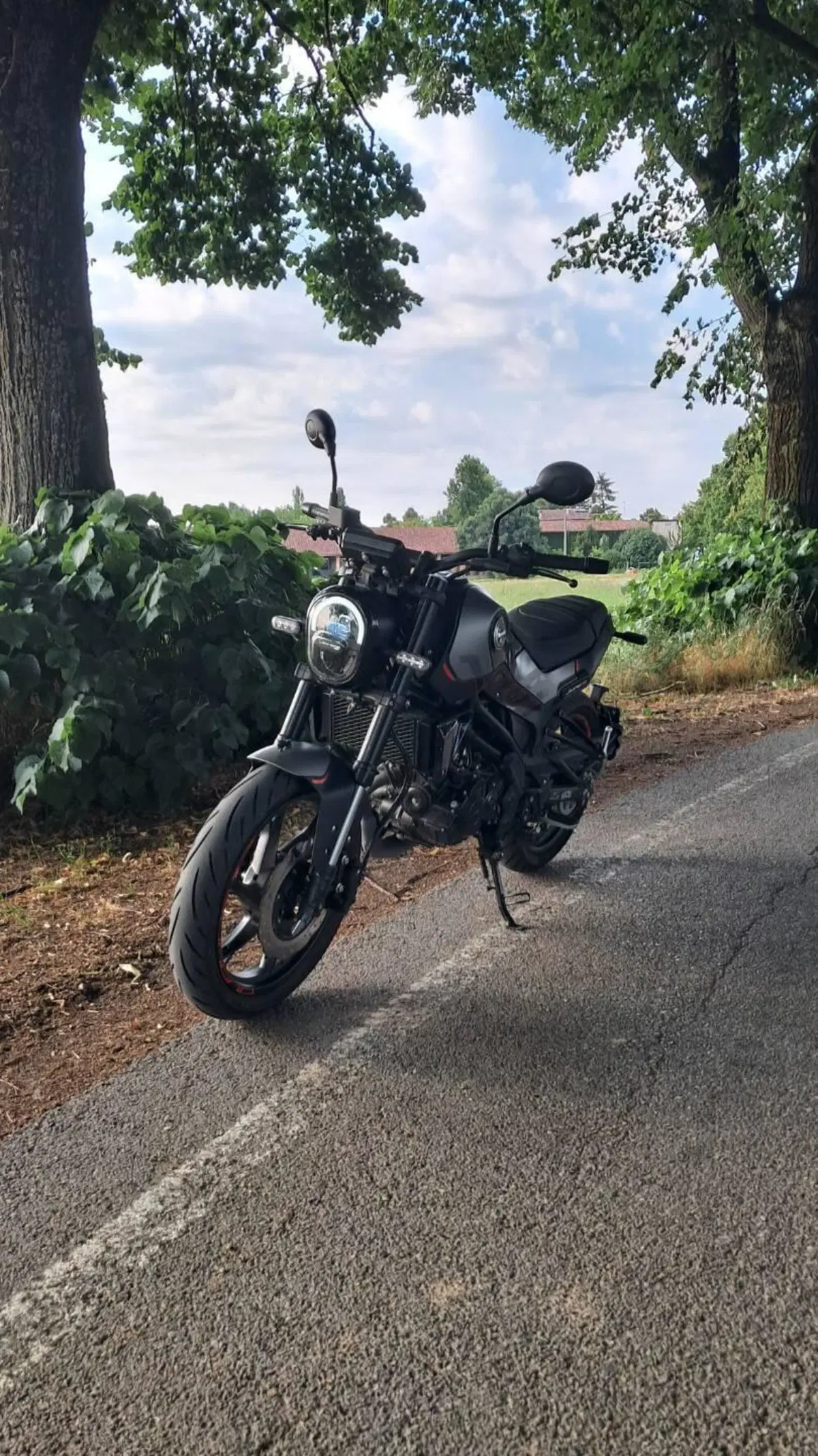 Benelli Leoncino 125 (2022 - 25) (2)