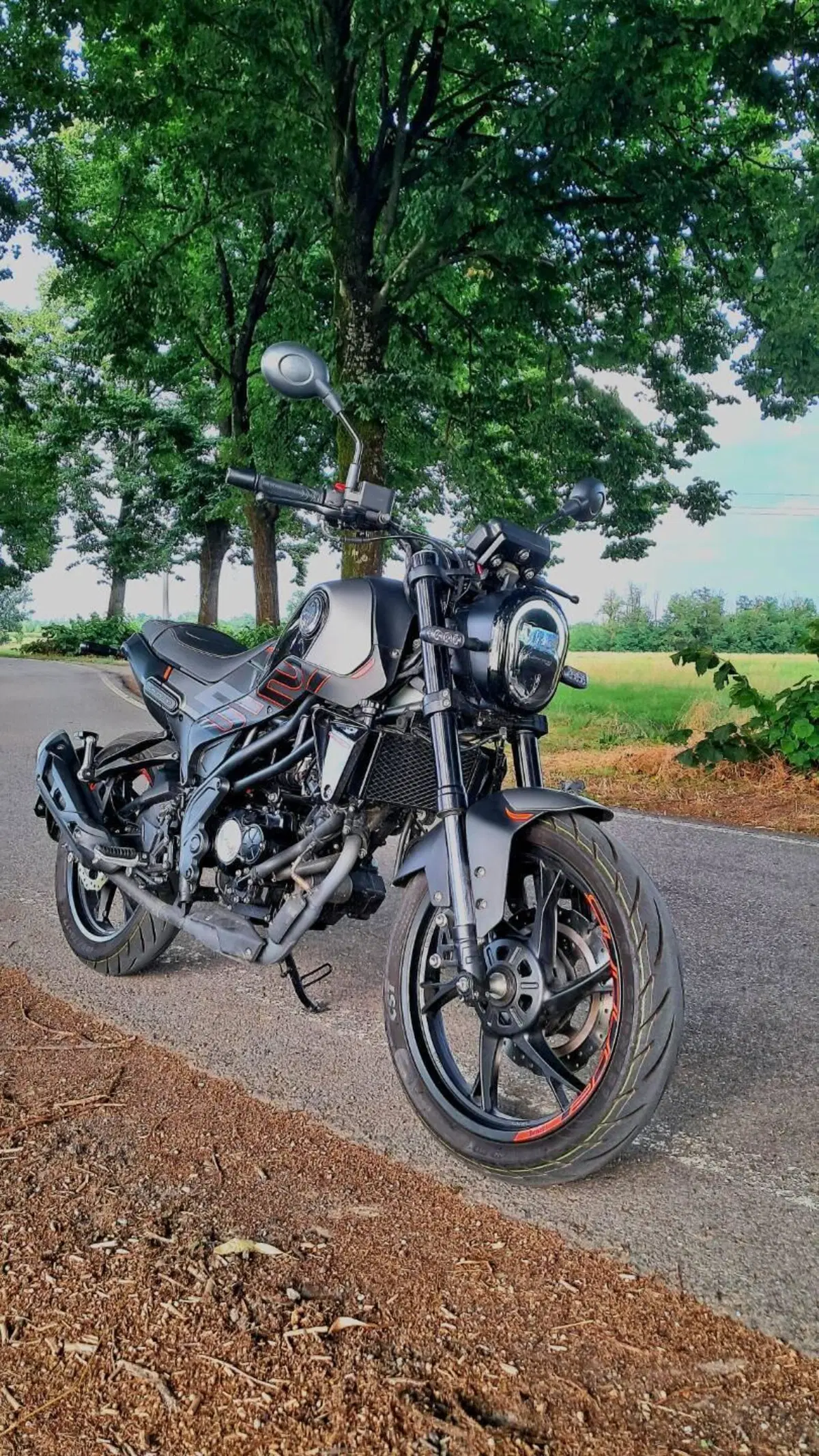 Benelli Leoncino 125 (2022 - 25) (3)