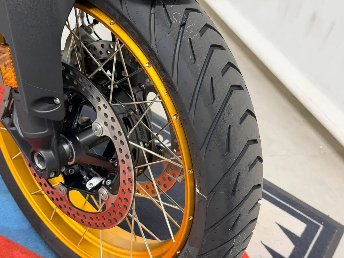 Bmw R 1300 GS Trophy (2023 - 26) (10)