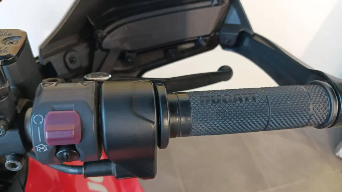 Ducati Hypermotard 939 (2016 - 18) (8)