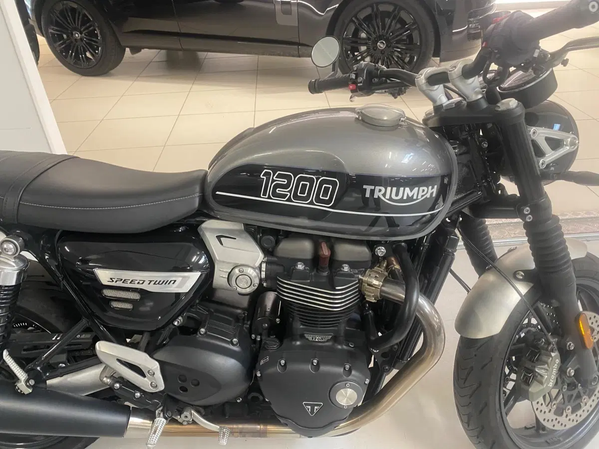 Triumph Speed Twin 1200 (2019 - 20) (3)