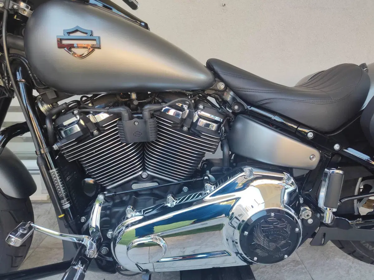 Harley-Davidson Sport Glide (2021 - 25) (3)
