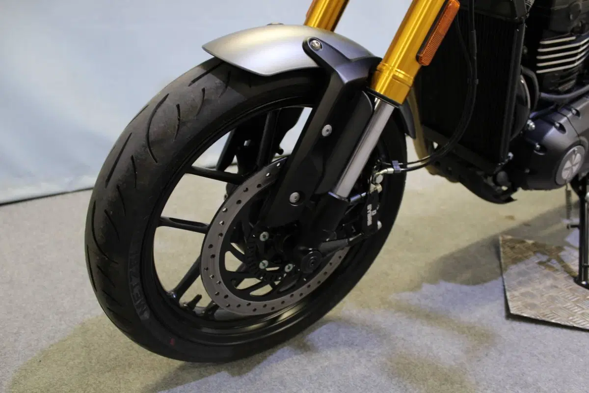 Triumph Speed 400 (2024 - 26) (15)