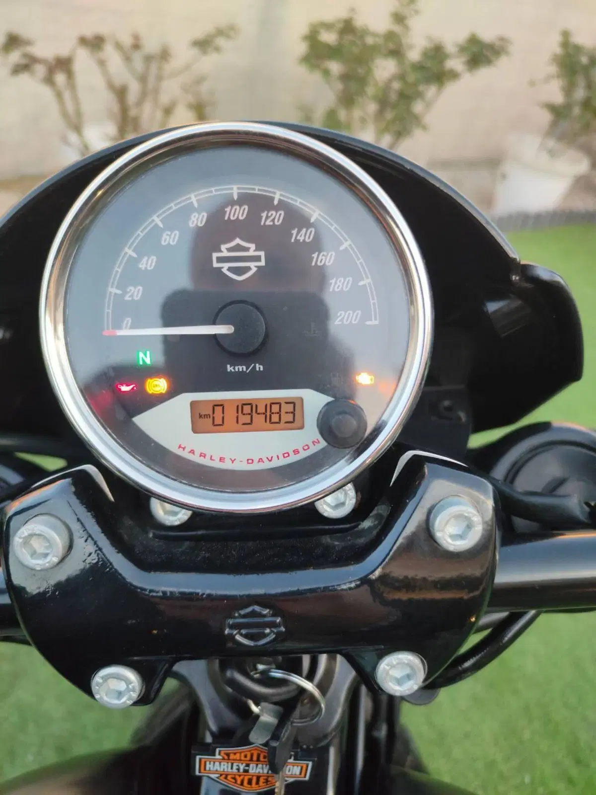 Harley-Davidson 750 Street Rod (2017 - 20) - XG 750 (2)