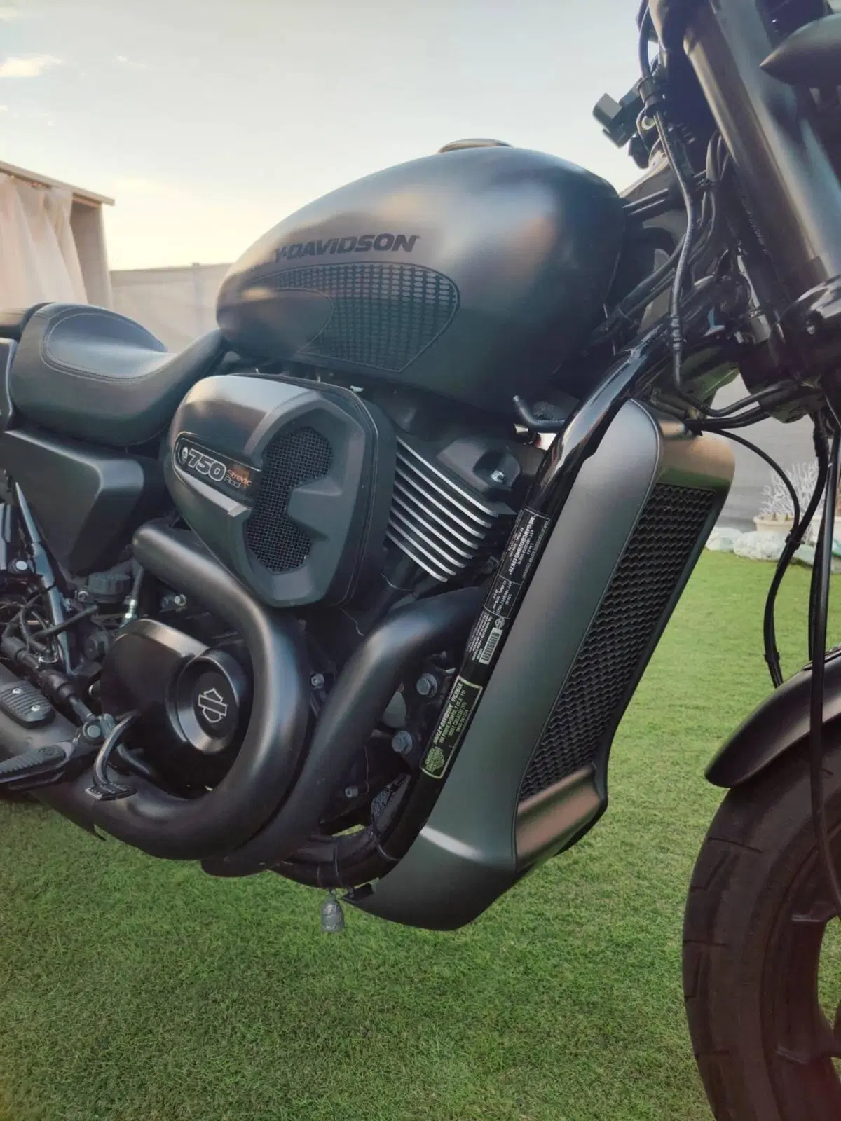 Harley-Davidson 750 Street Rod (2017 - 20) - XG 750 (6)