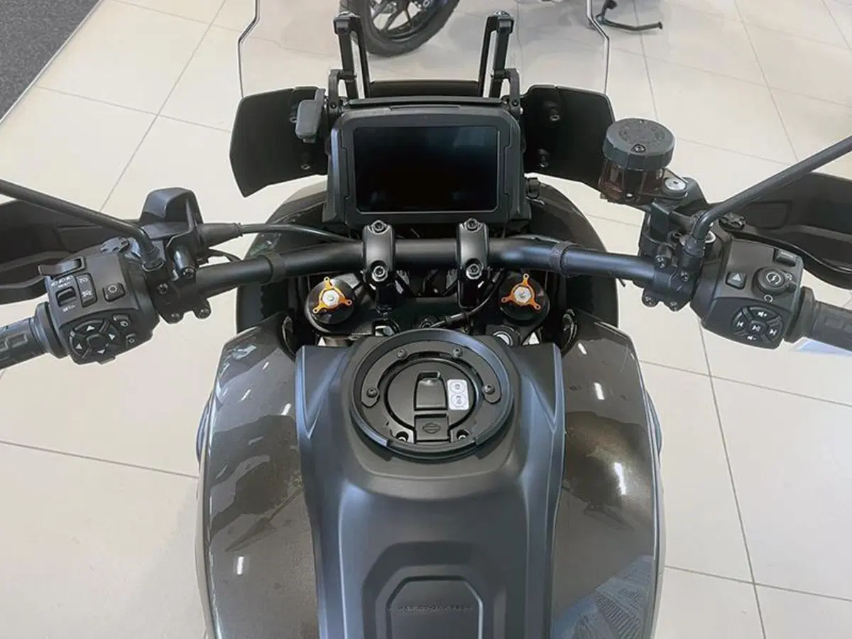 Harley-Davidson Pan America 1250 (2020 - 25) (6)