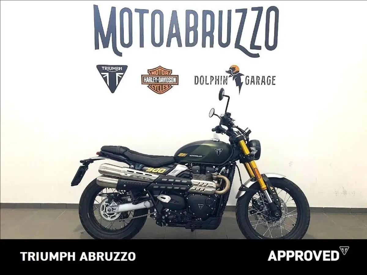 Triumph Scrambler 900 (2026) (13)