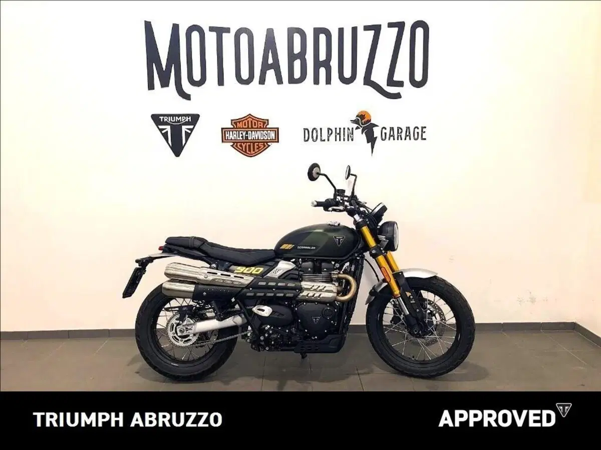 Triumph Scrambler 900 (2026) (11)