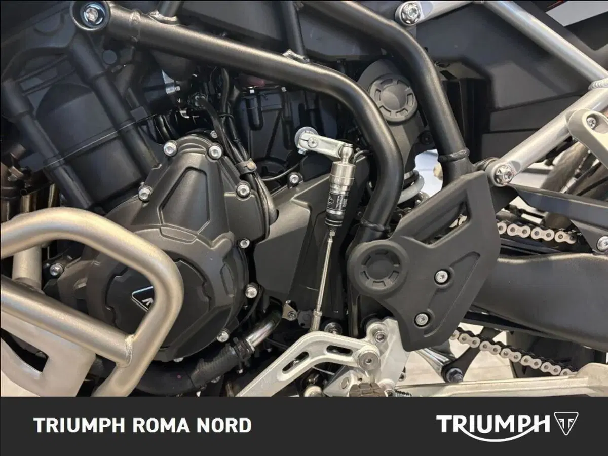Triumph Tiger 900 Rally Pro (2024 - 26) (3)