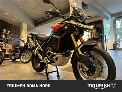 Triumph Tiger 900 Rally Pro (2024 - 26) usata