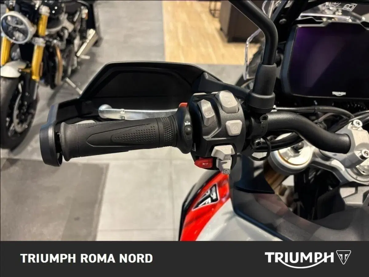 Triumph Tiger 900 Rally Pro (2024 - 26) (9)