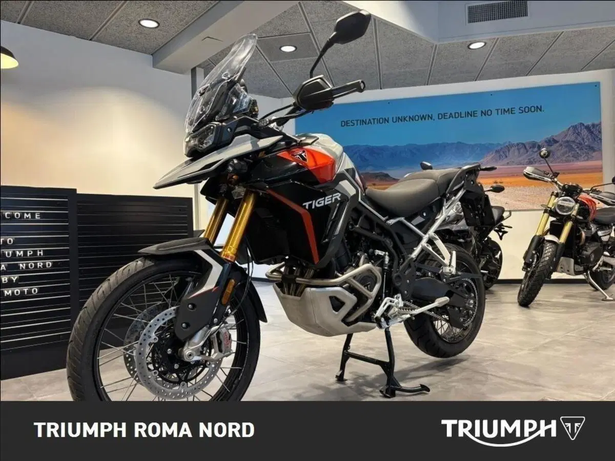Triumph Tiger 900 Rally Pro (2024 - 26) (4)