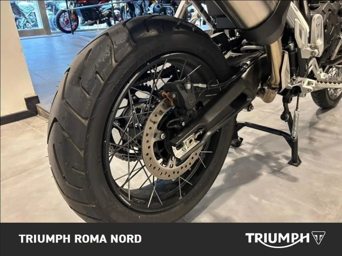 Triumph Tiger 900 Rally Pro (2024 - 26) (11)