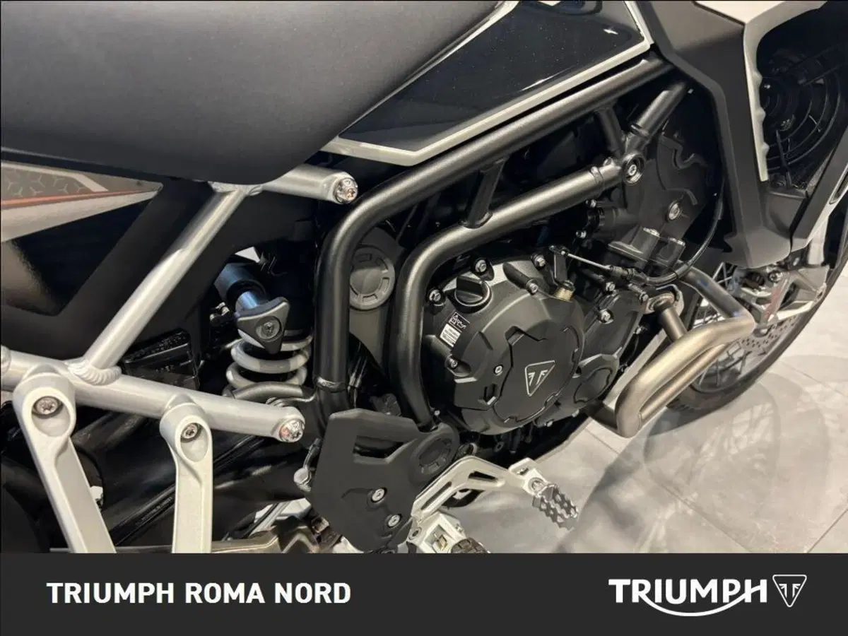 Triumph Tiger 900 Rally Pro (2024 - 26) (6)