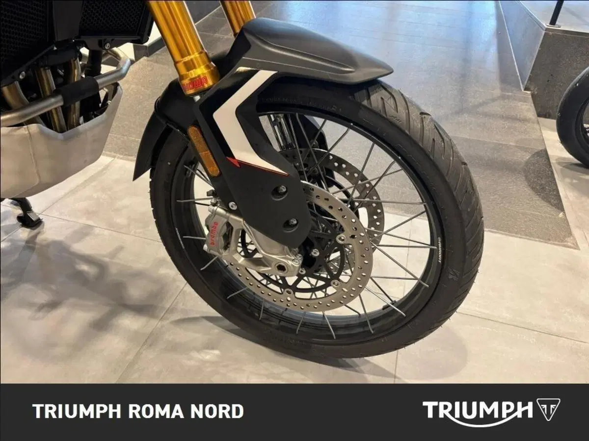 Triumph Tiger 900 Rally Pro (2024 - 26) (13)