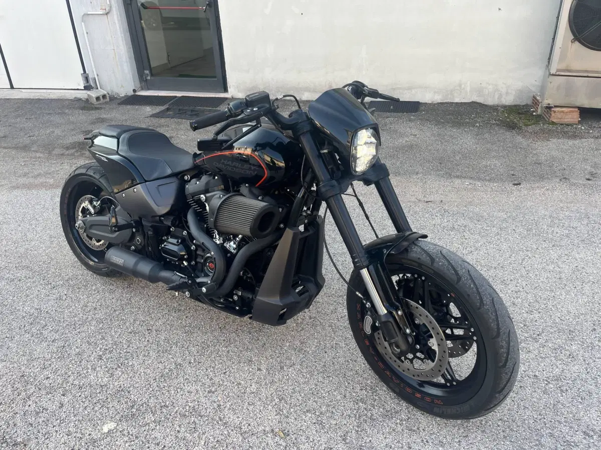 Harley-Davidson 114 FXDR (2019 - 20) (12)