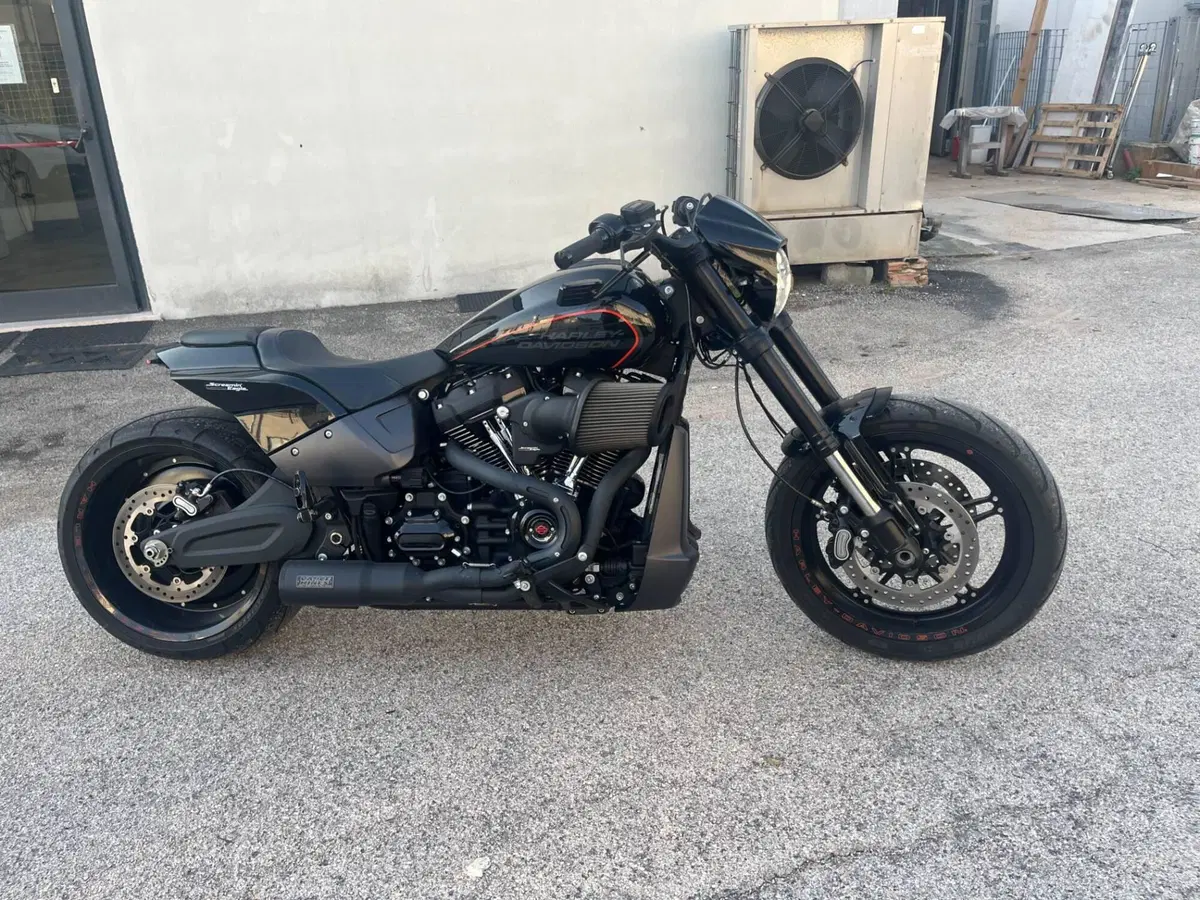 Harley-Davidson 114 FXDR (2019 - 20) (13)