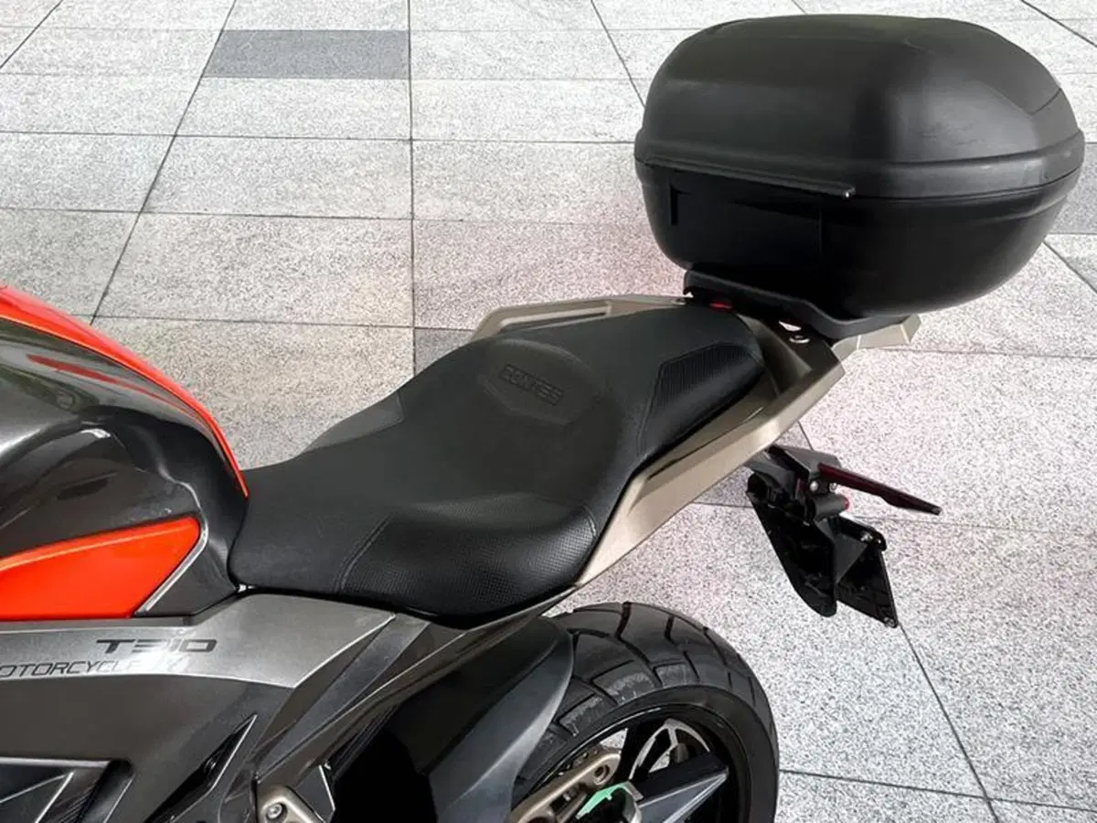 Zontes ZT310-R (2019 - 20) (4)