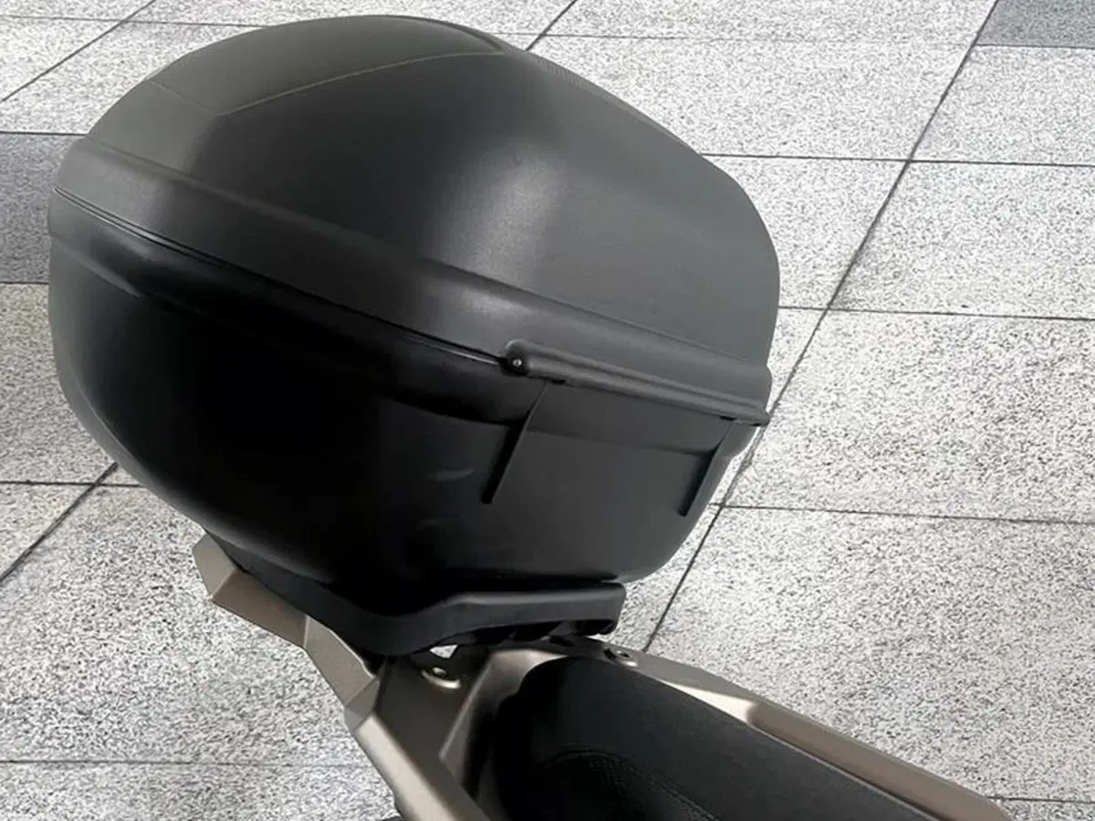 Zontes ZT310-R (2019 - 20) (5)