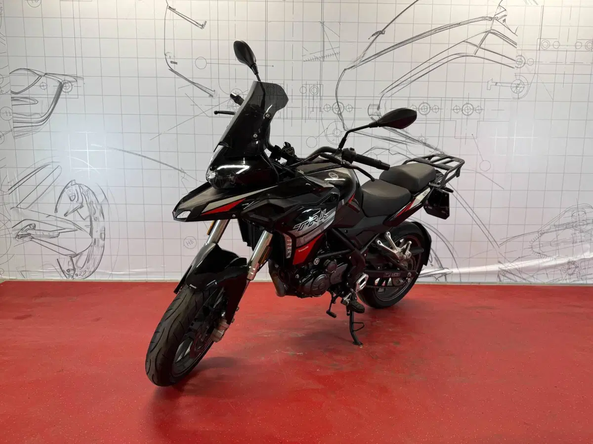 Benelli TRK 251 (2022 - 25) (5)