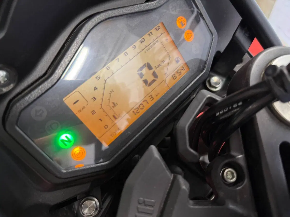 Benelli TRK 251 (2022 - 25) (6)