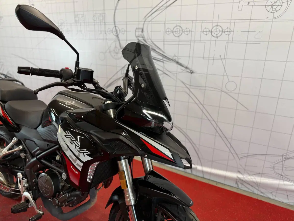 Benelli TRK 251 (2022 - 25) (8)