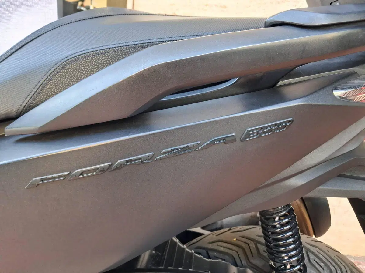 Honda Forza 300 (2019 - 20) (5)
