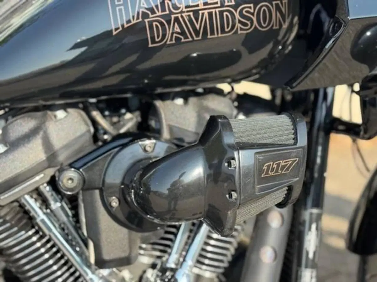 Harley-Davidson Low Rider ST (2022 - 24) (3)
