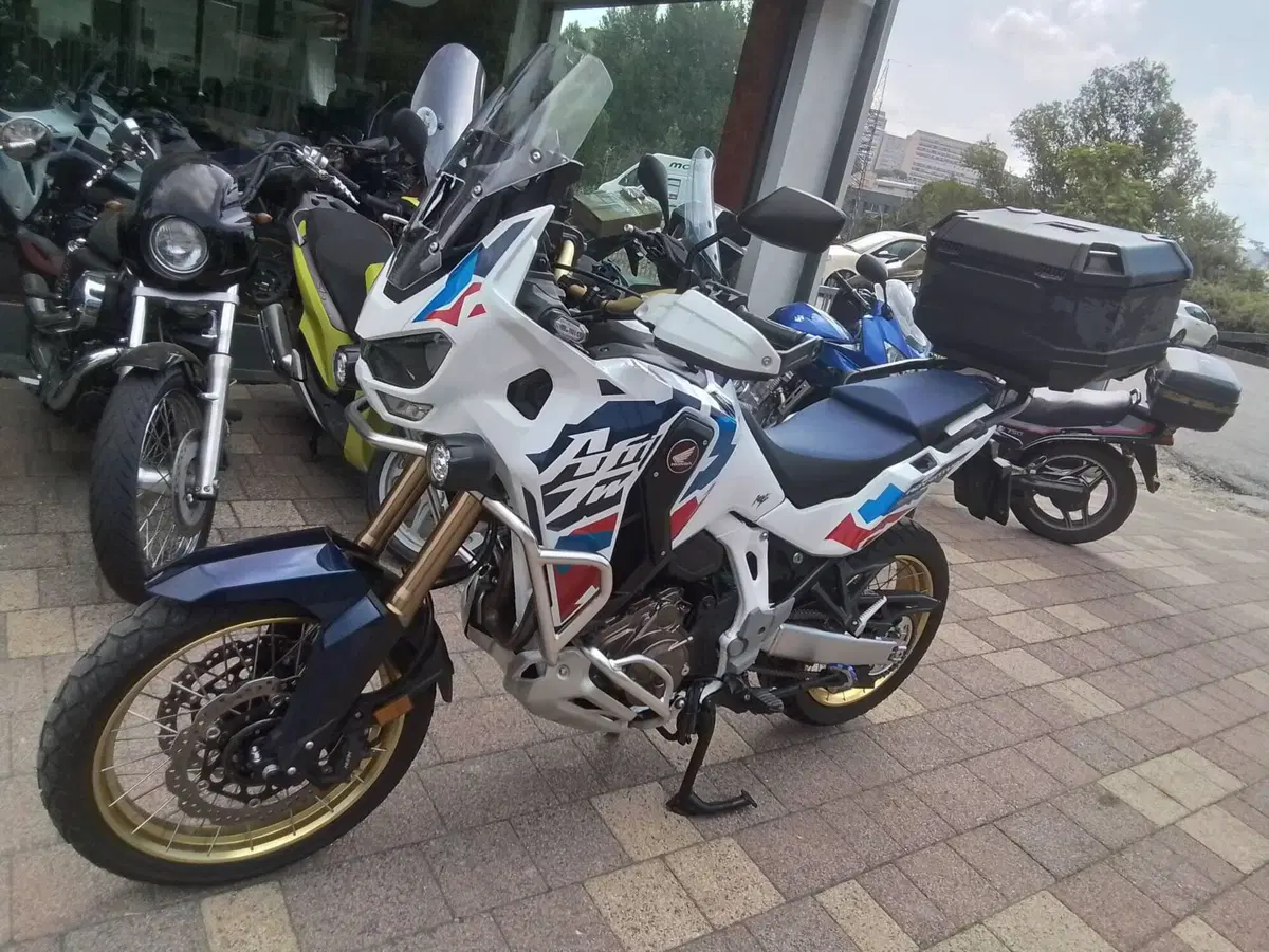 Honda Africa Twin CRF 1100L Adventure Sports DCT (2024 - 26) (12)