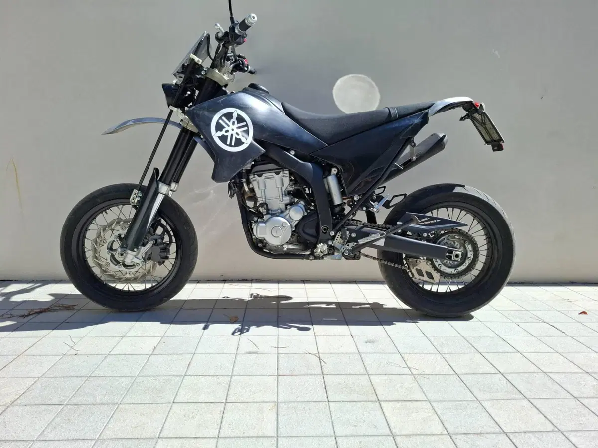 Yamaha WR 250 X (2008 - 13) (15)