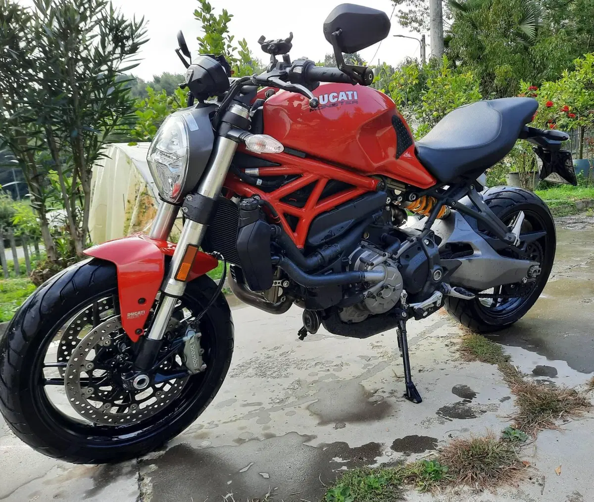 Ducati Monster 821 (2018 - 20)