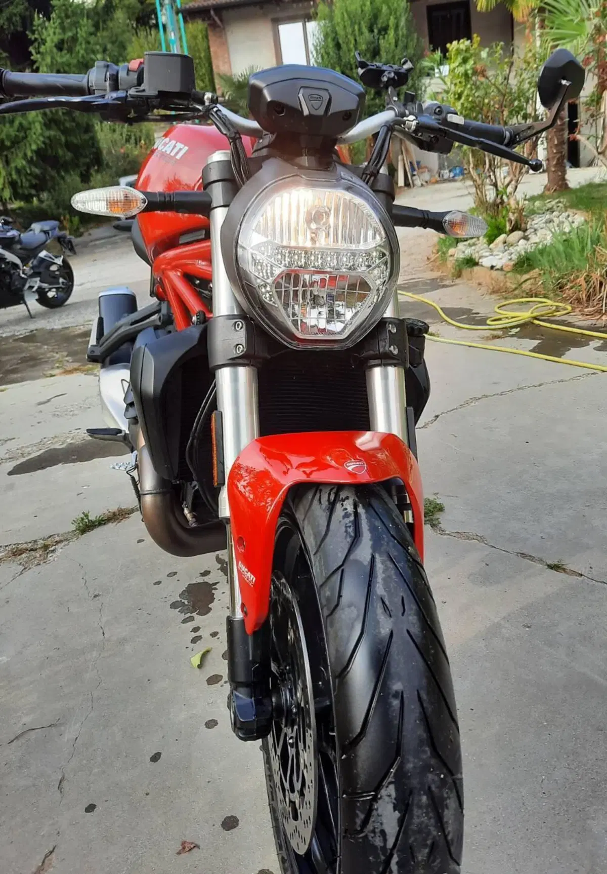Ducati Monster 821 (2018 - 20) (3)