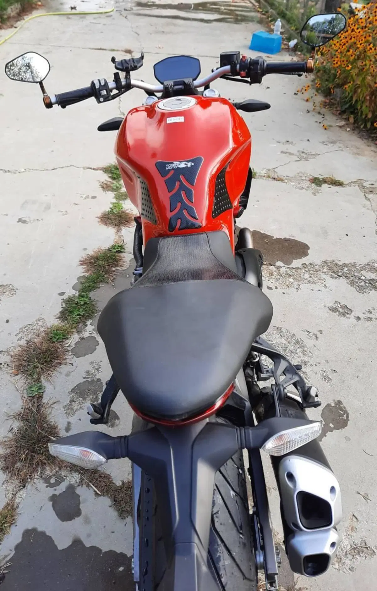 Ducati Monster 821 (2018 - 20) (4)