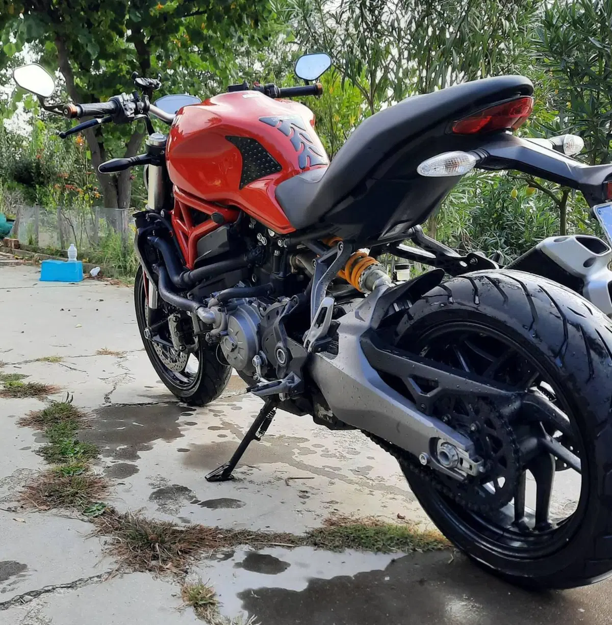 Ducati Monster 821 (2018 - 20) (5)