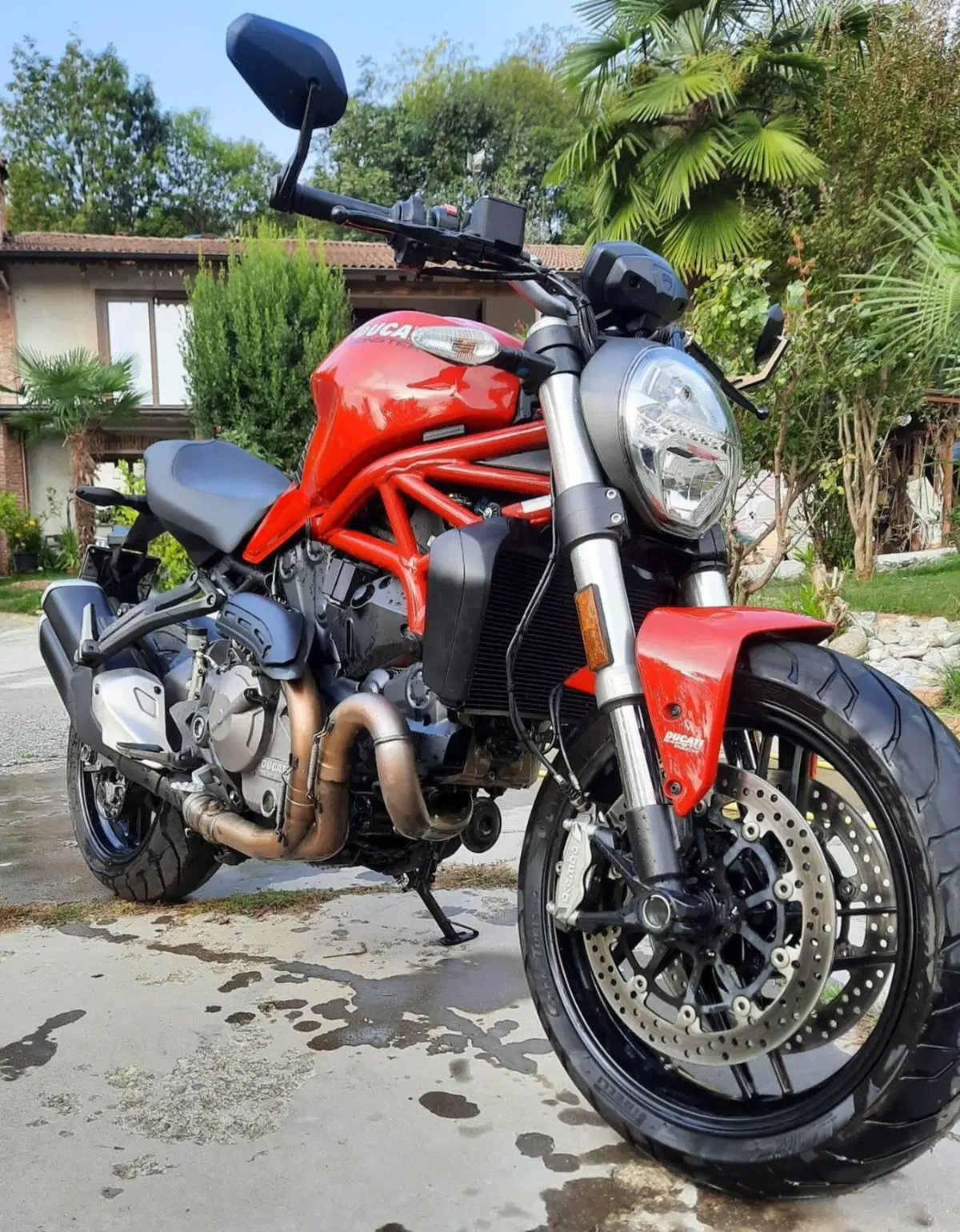 Ducati Monster 821 (2018 - 20) (6)
