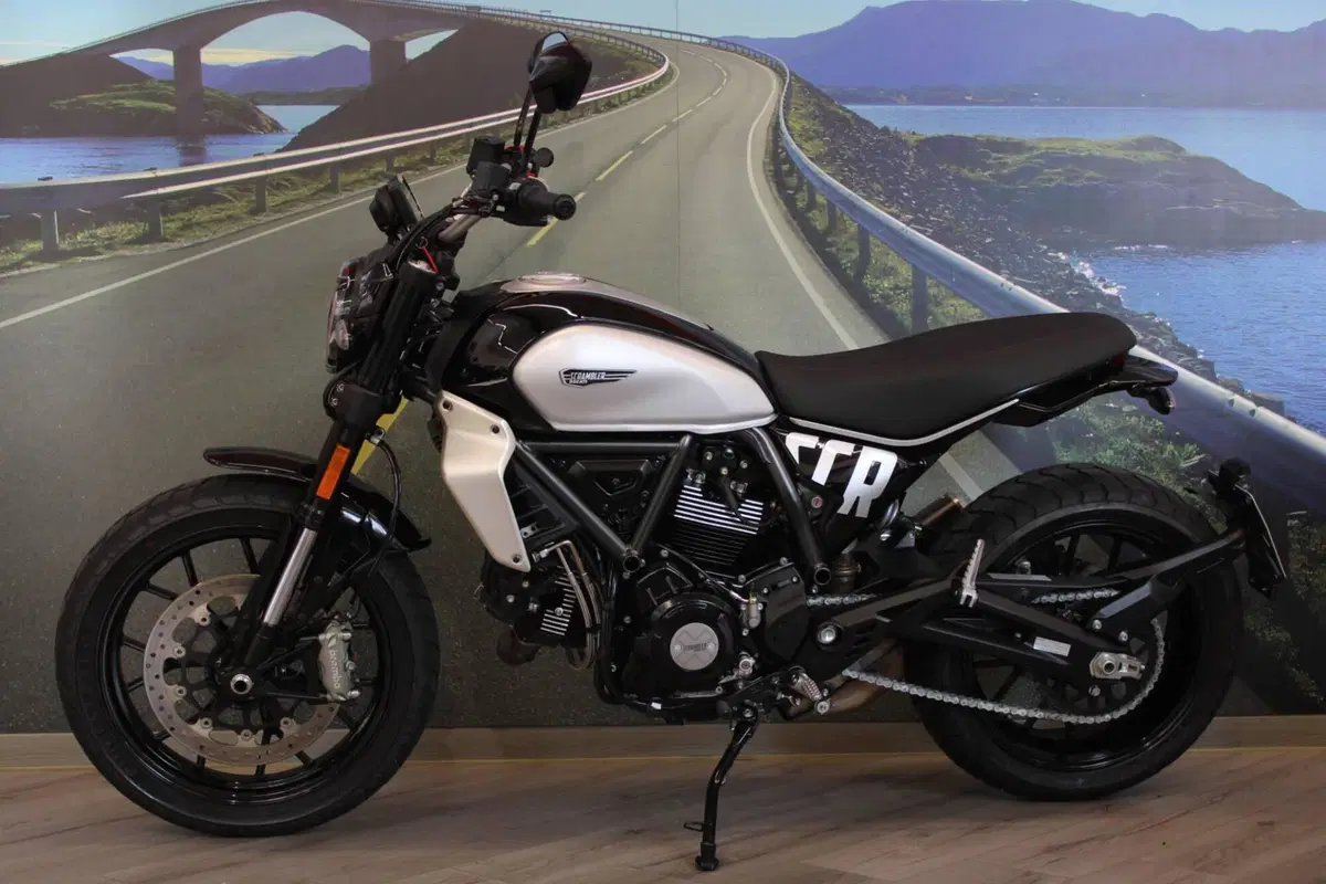 Ducati Scrambler 800 Icon (2023 - 24) (7)