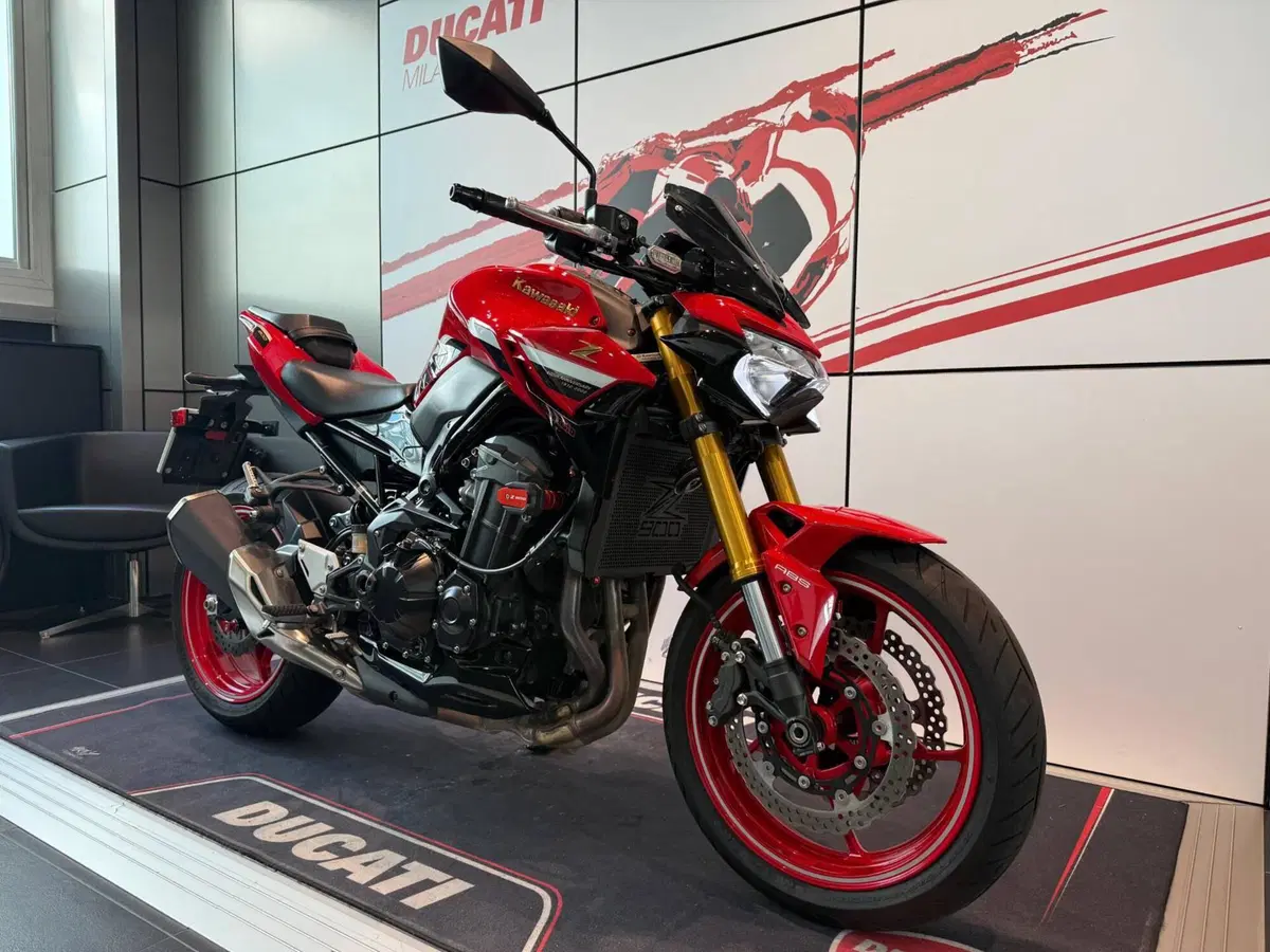 Kawasaki Z 900 50th Anniversary (2022 - 23) (2)