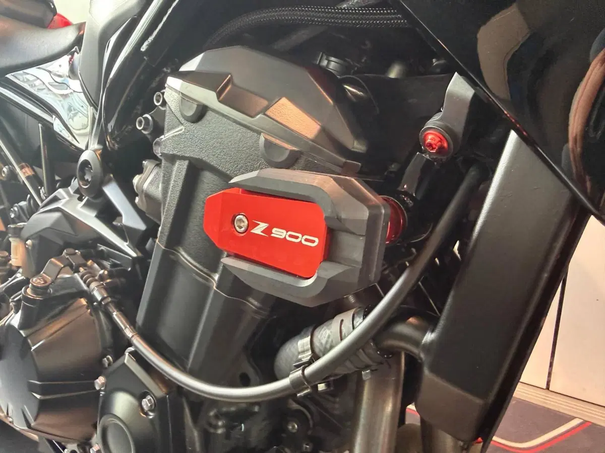 Kawasaki Z 900 50th Anniversary (2022 - 23) (5)