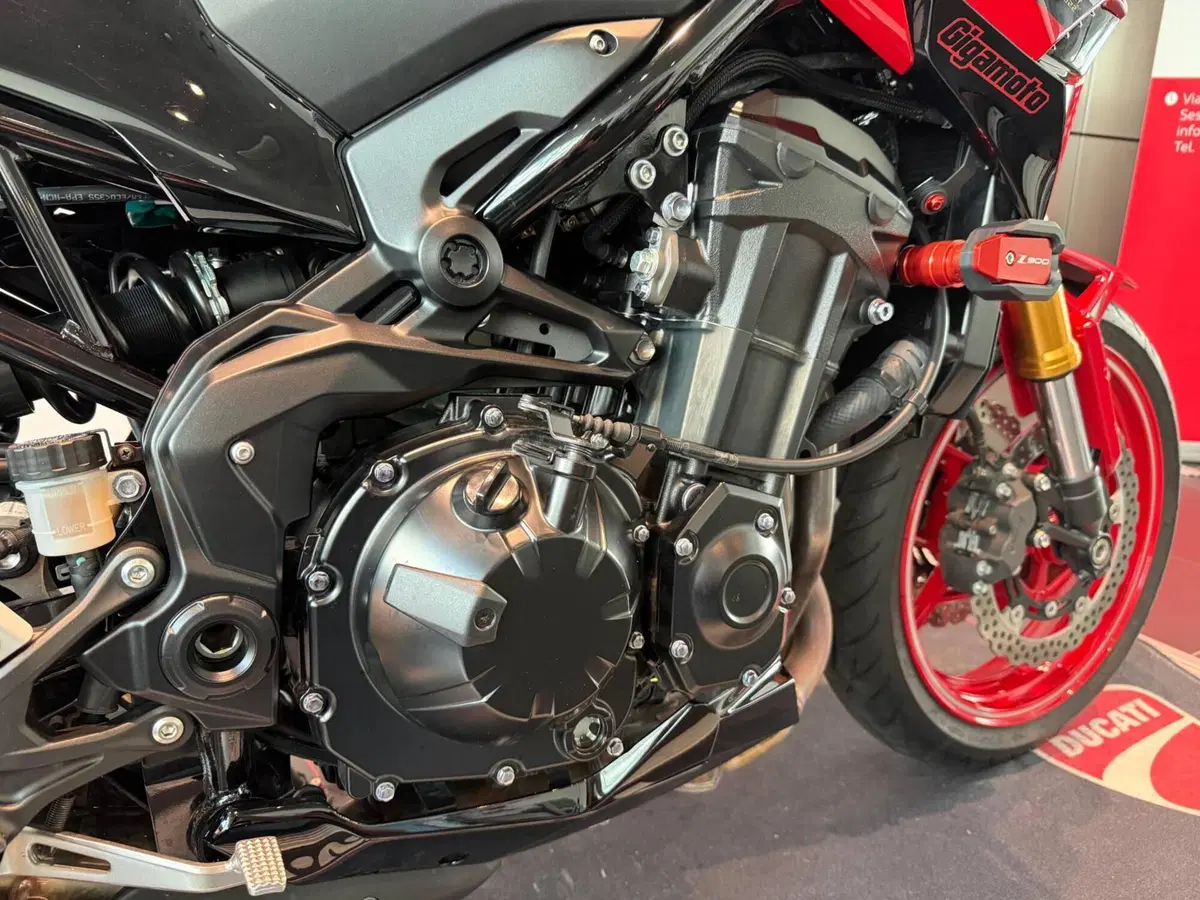 Kawasaki Z 900 50th Anniversary (2022 - 23) (6)