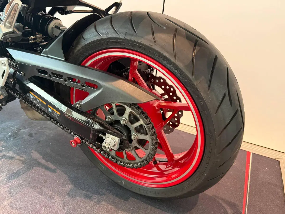 Kawasaki Z 900 50th Anniversary (2022 - 23) (12)